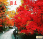 ȫͼ鿴5Σ찲šʹǡꡢ񳲡ú԰̳ 710Ԫ/λ