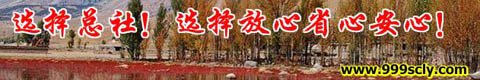 成都中国青年旅行社总社旅游线路特价广告